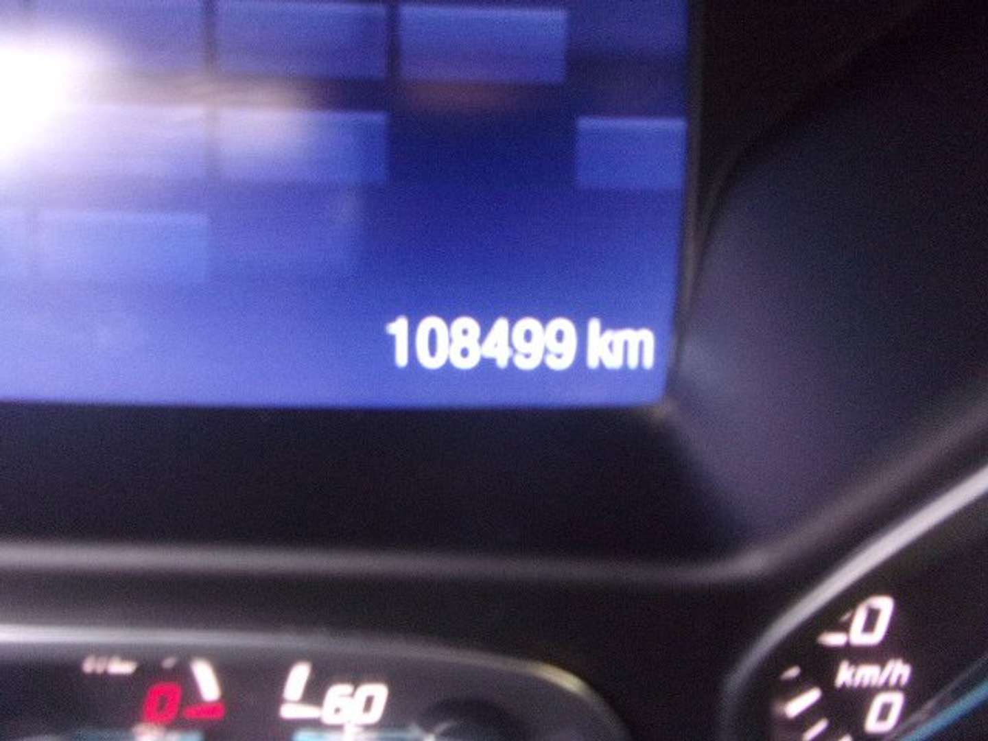 Autocerfoglia