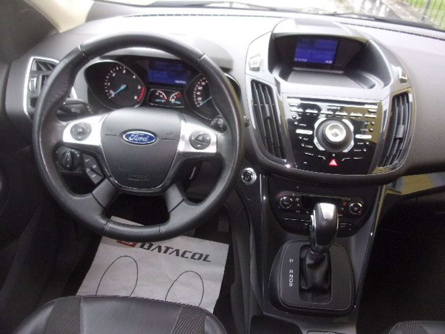Autocerfoglia