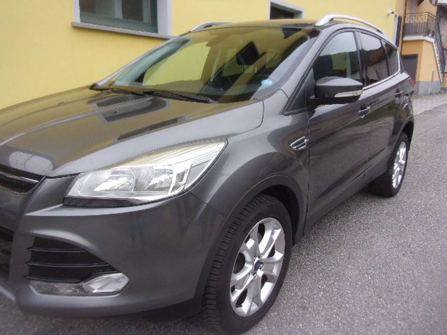 Autocerfoglia