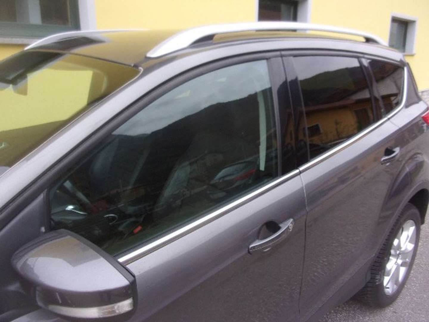 Autocerfoglia