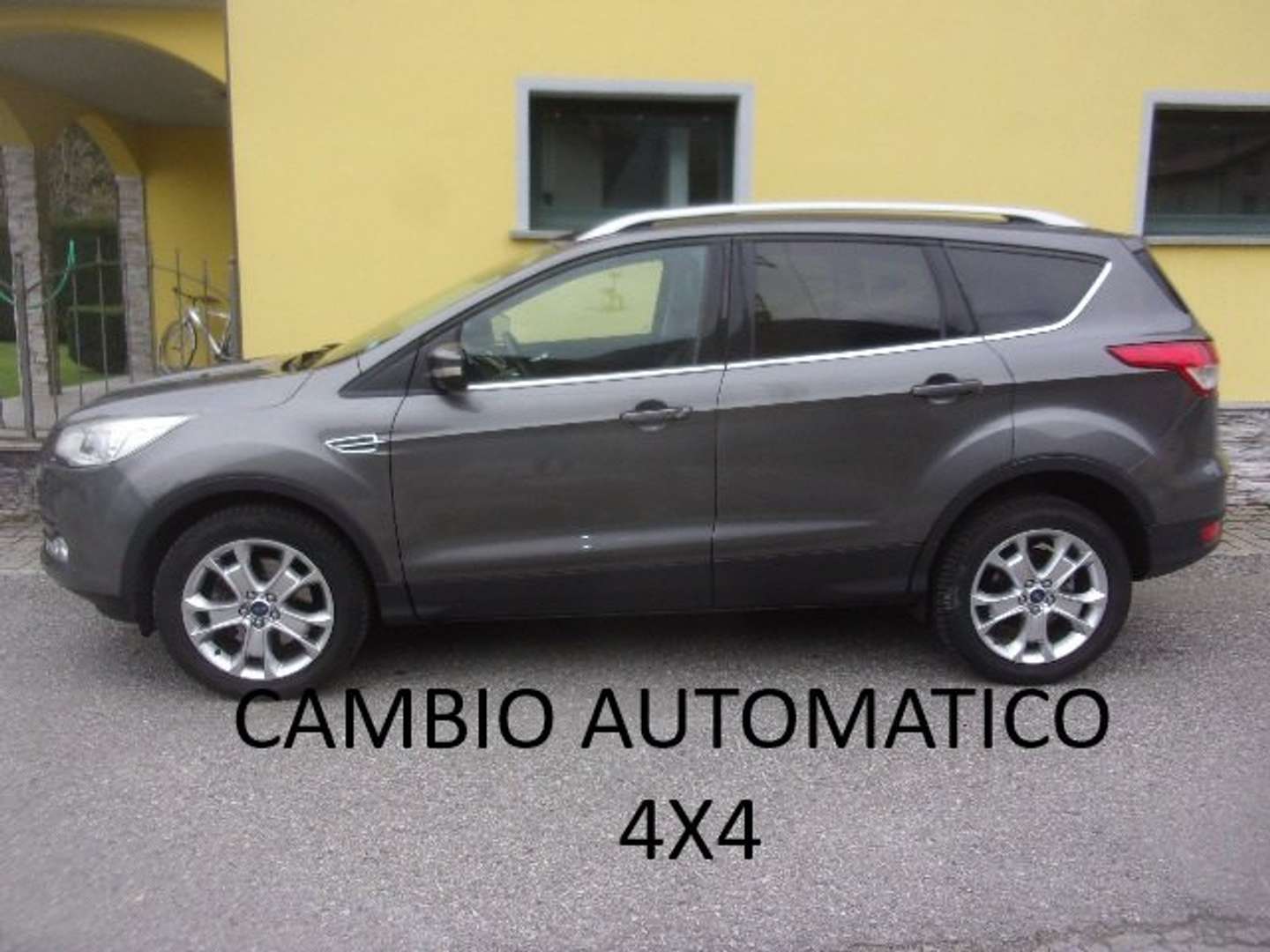 Autocerfoglia