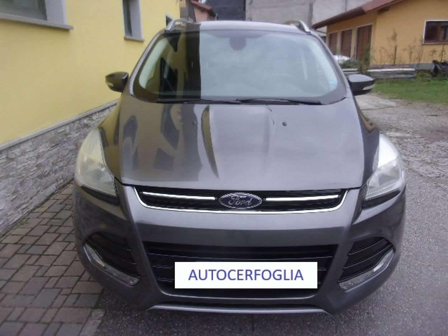 Autocerfoglia