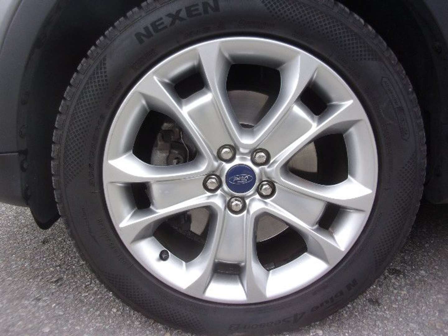 Autocerfoglia