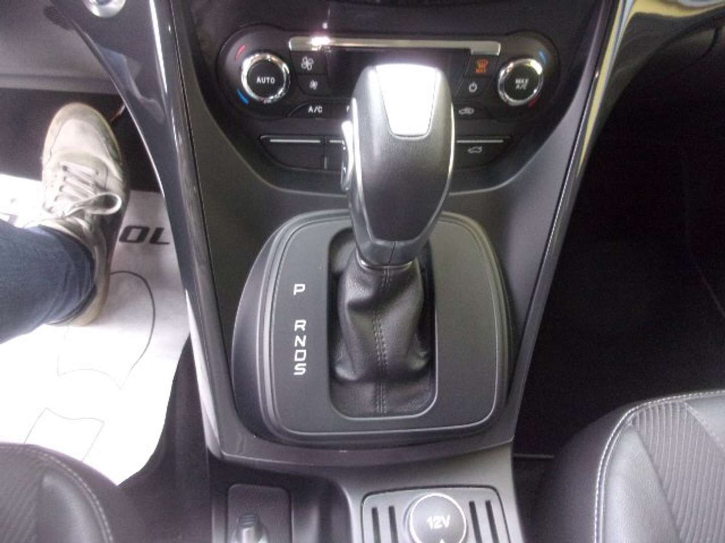 Autocerfoglia