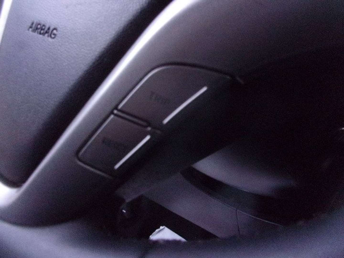 Autocerfoglia
