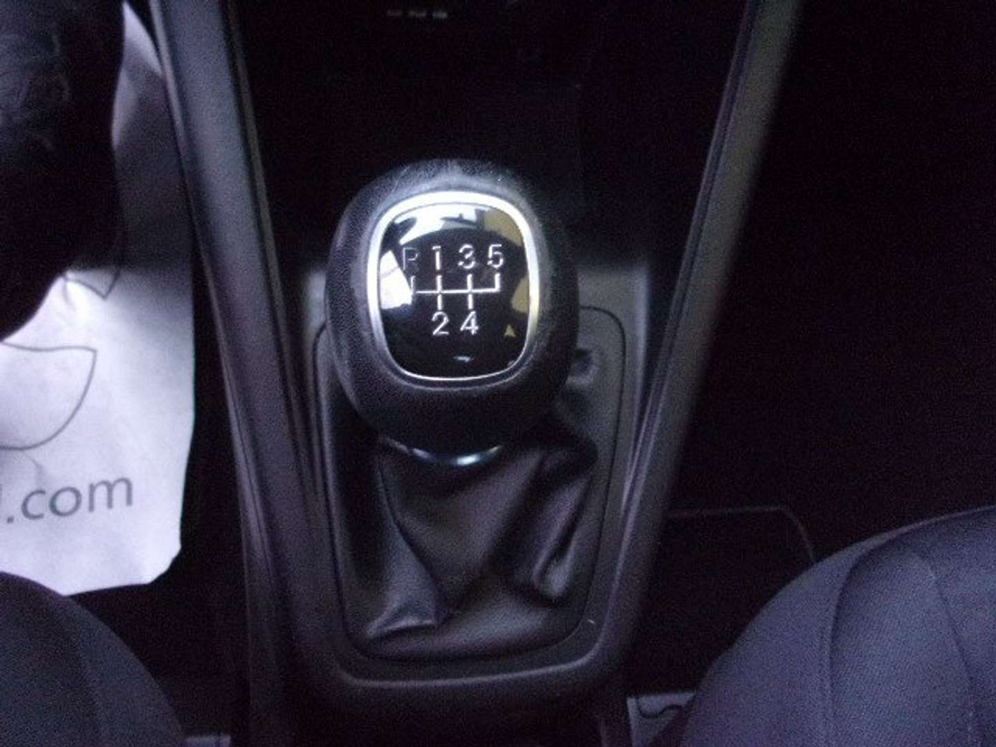 Autocerfoglia