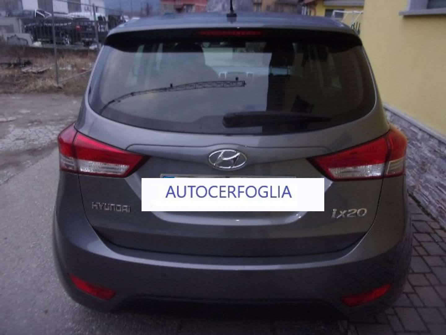Autocerfoglia