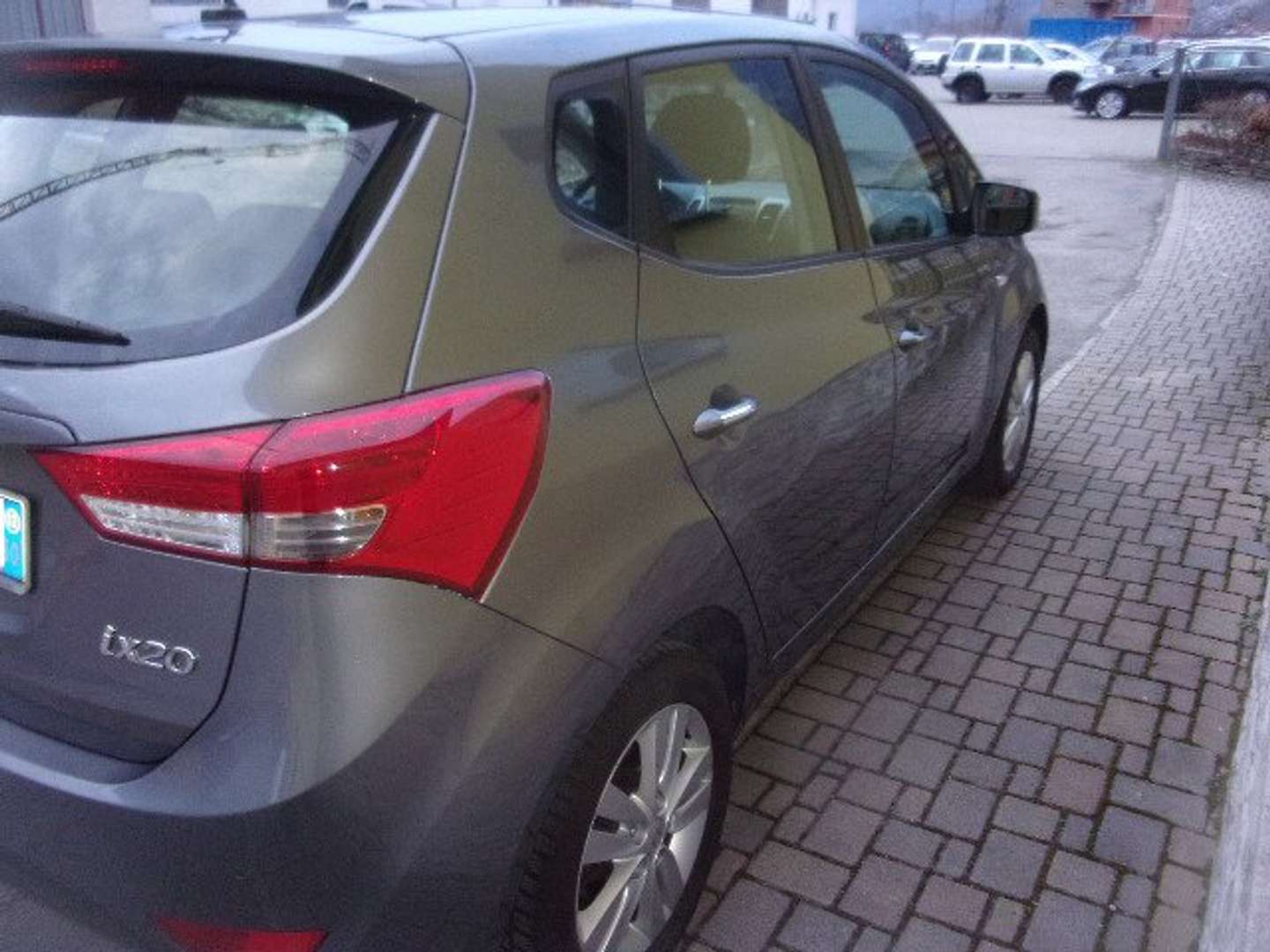Autocerfoglia