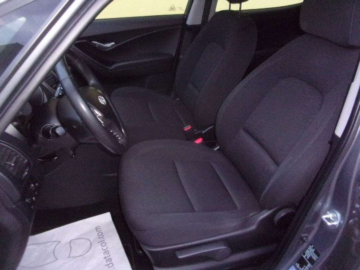 Autocerfoglia