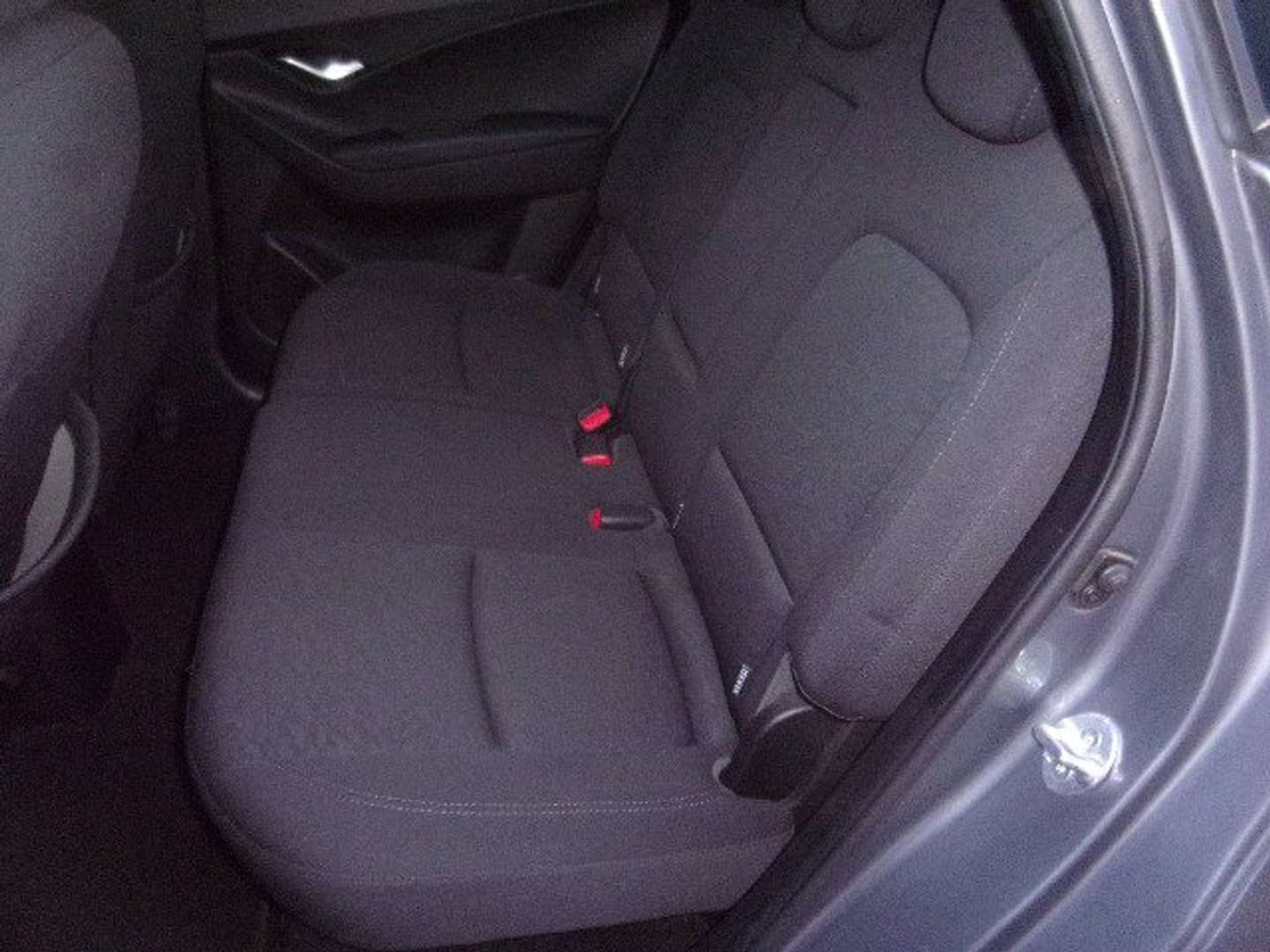 Autocerfoglia