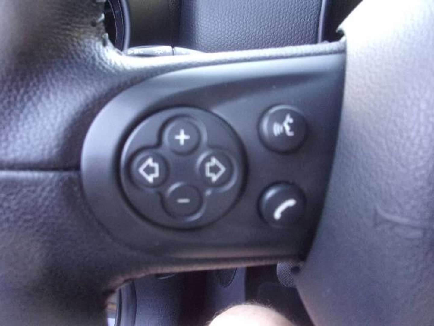 Autocerfoglia