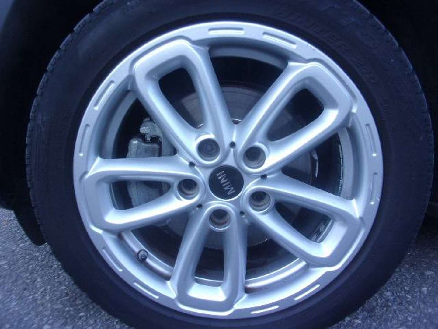 Autocerfoglia