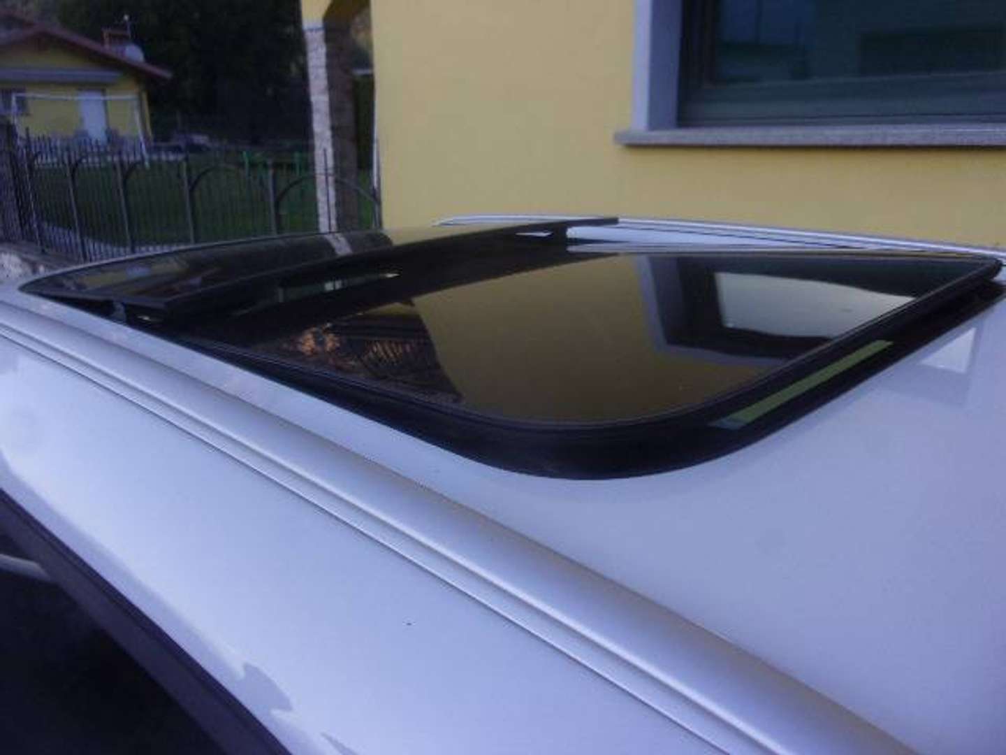 Autocerfoglia
