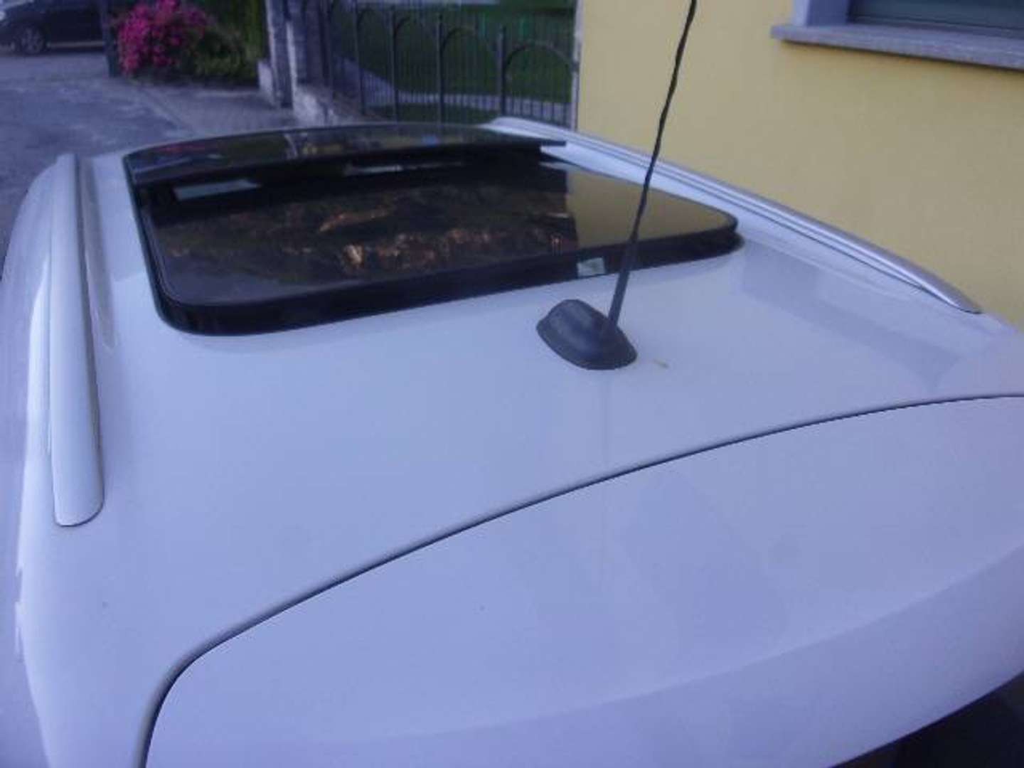 Autocerfoglia