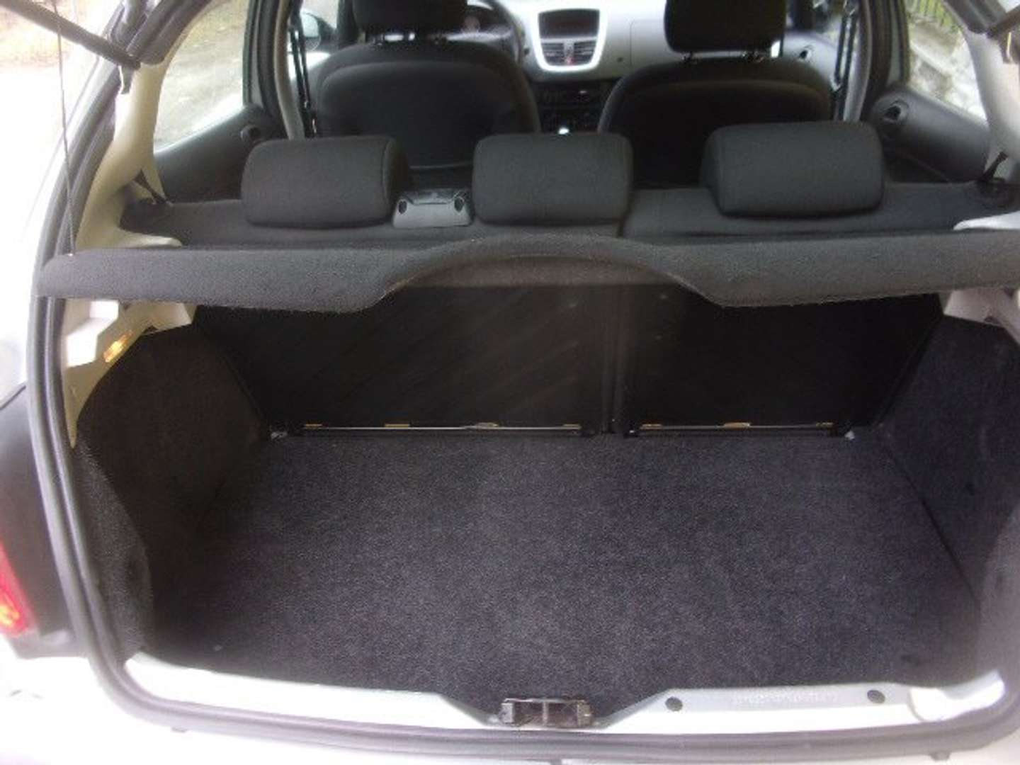 Autocerfoglia