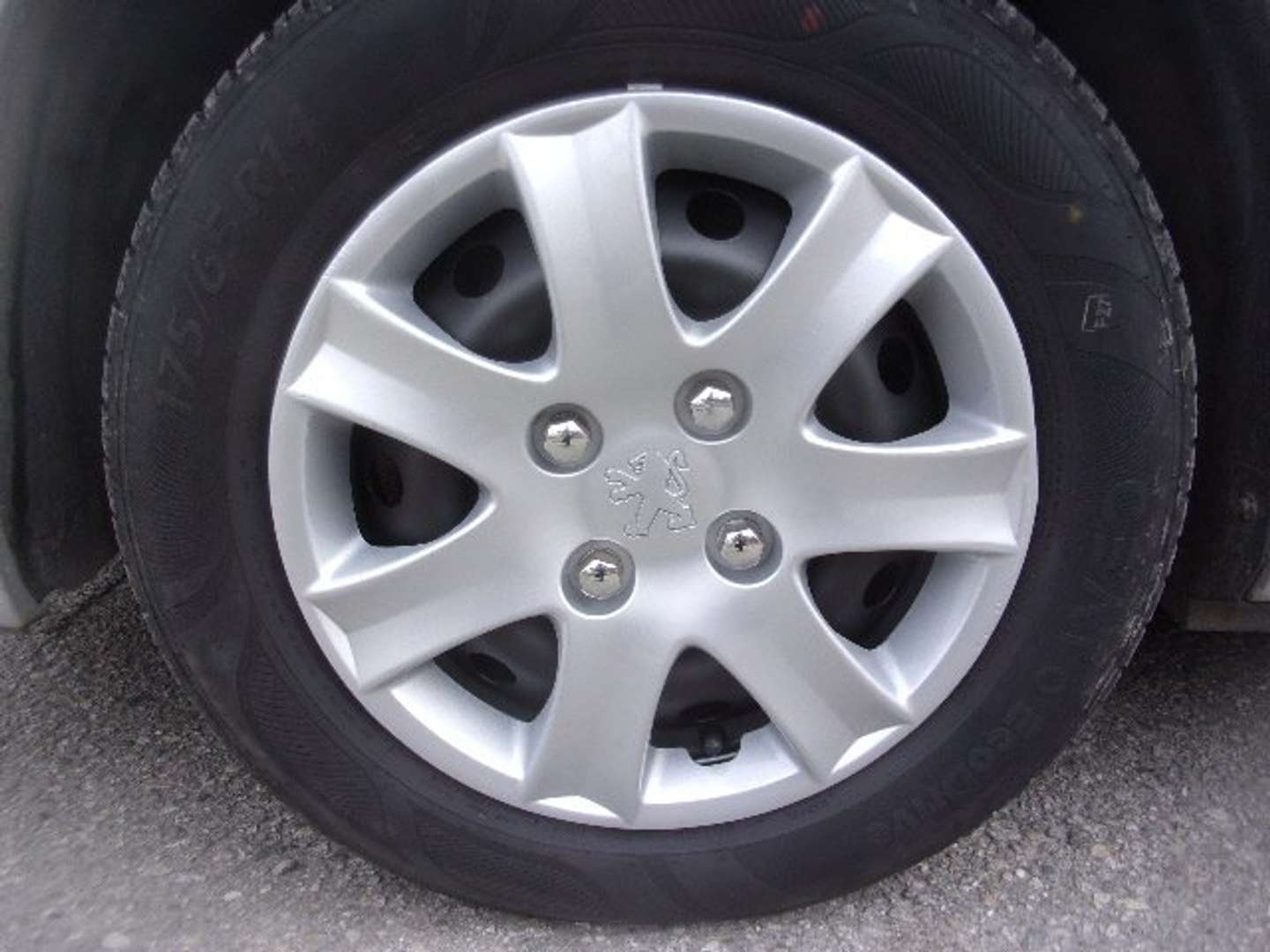 Autocerfoglia
