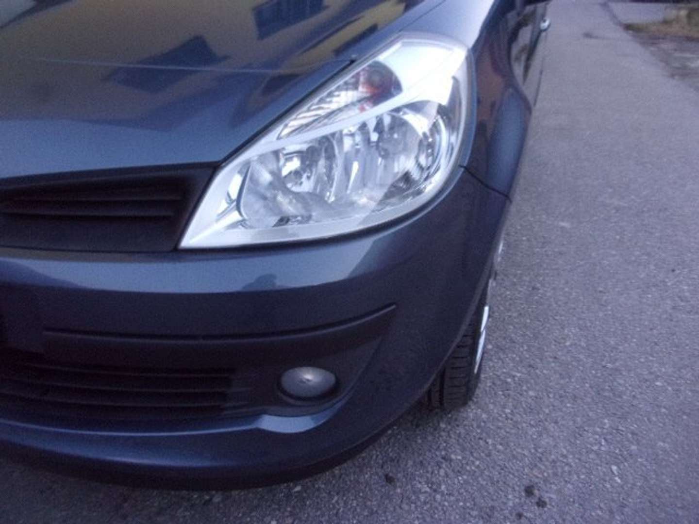 Autocerfoglia