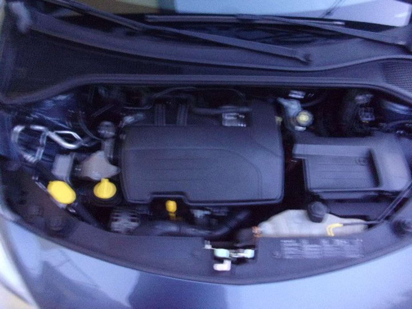 Autocerfoglia