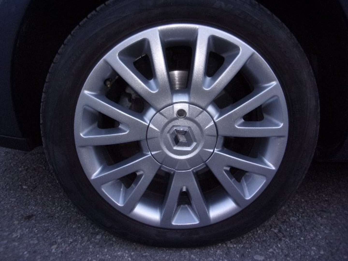 Autocerfoglia