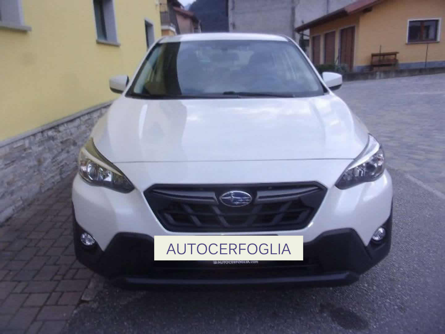 Autocerfoglia