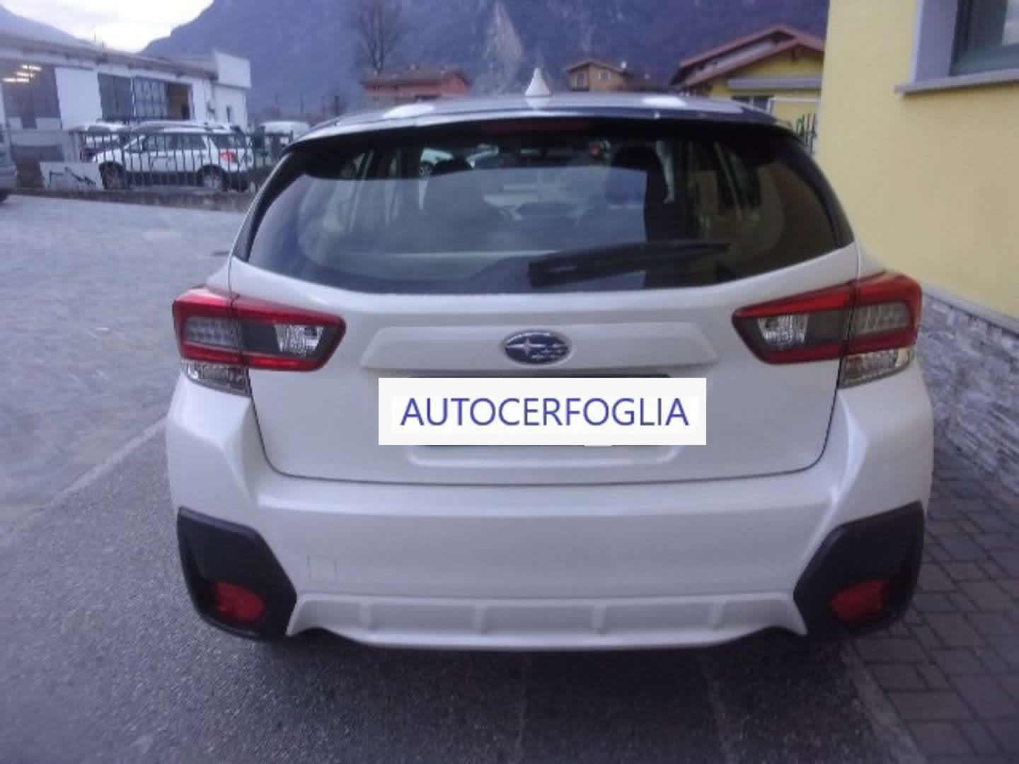 Autocerfoglia