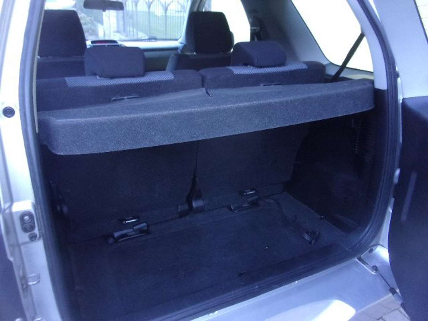Autocerfoglia