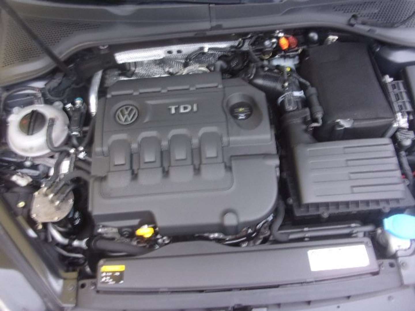 Autocerfoglia