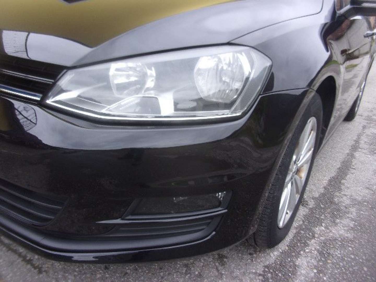 Autocerfoglia