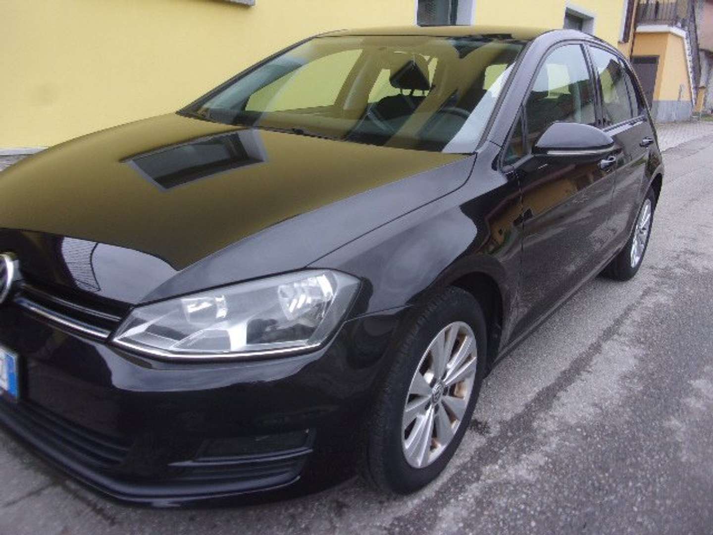 Autocerfoglia