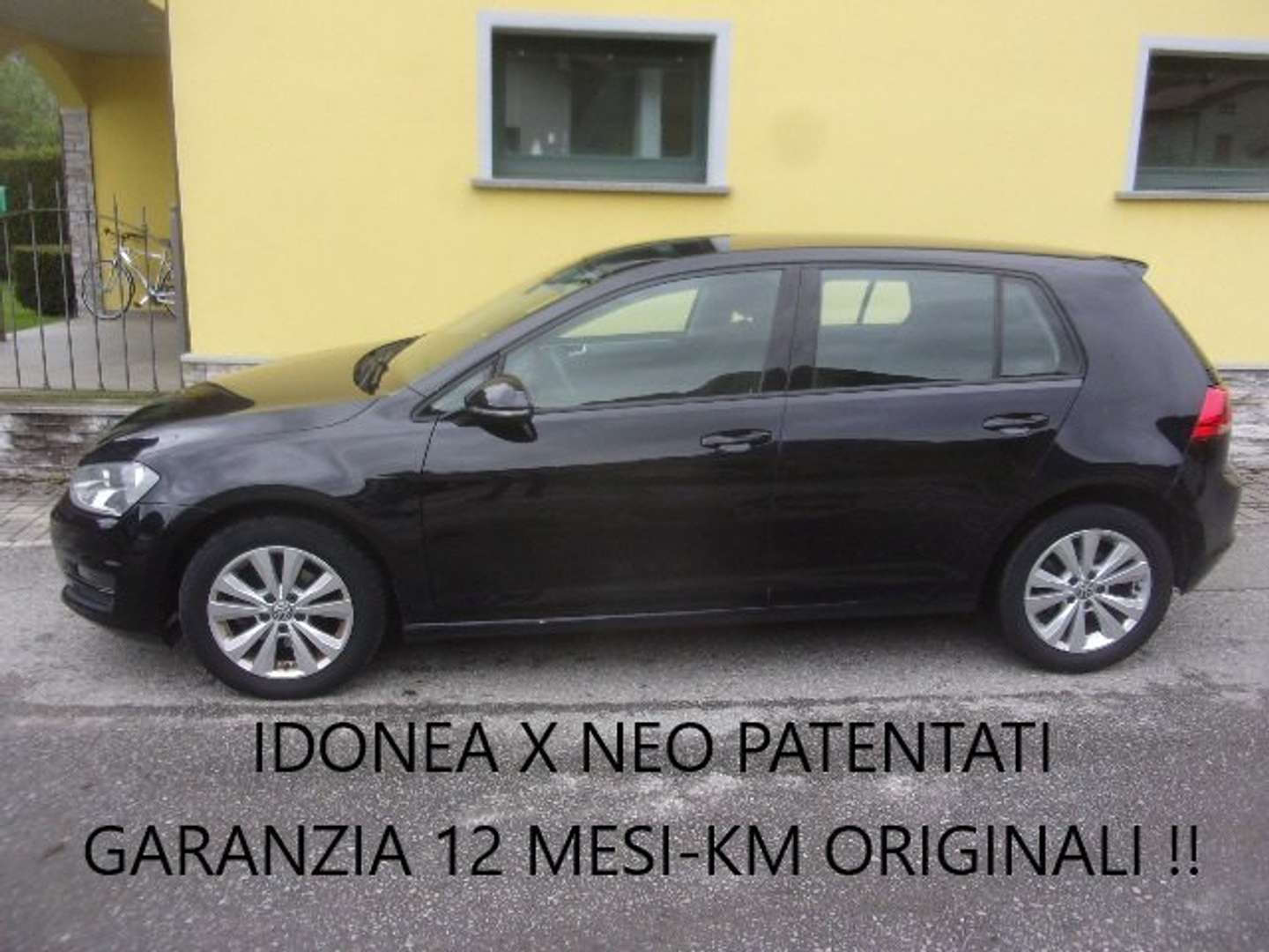 Autocerfoglia