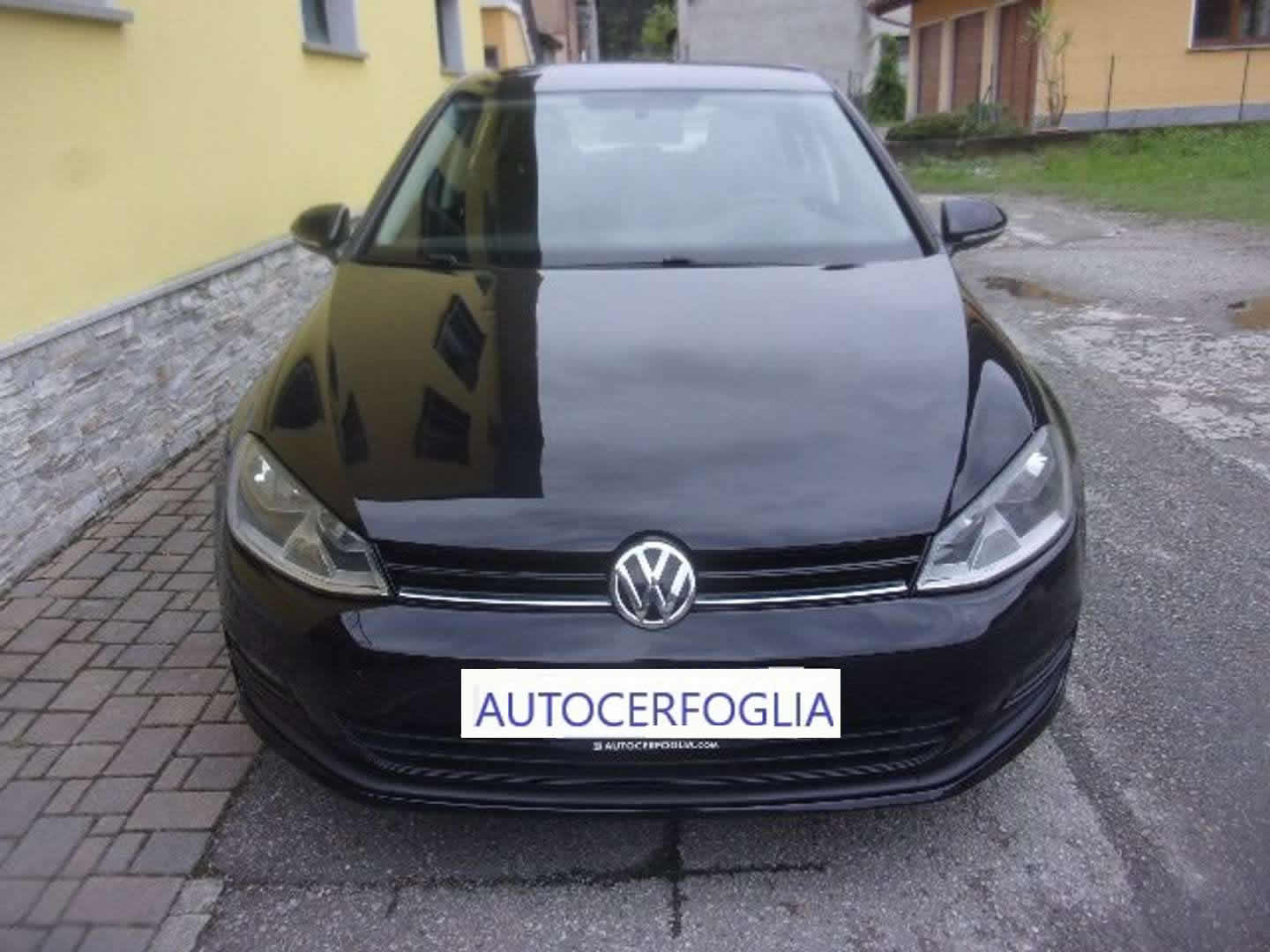 Autocerfoglia