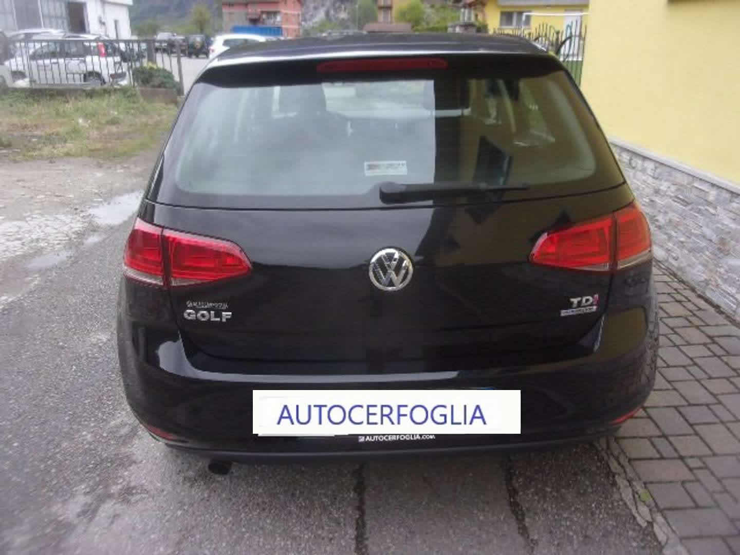 Autocerfoglia