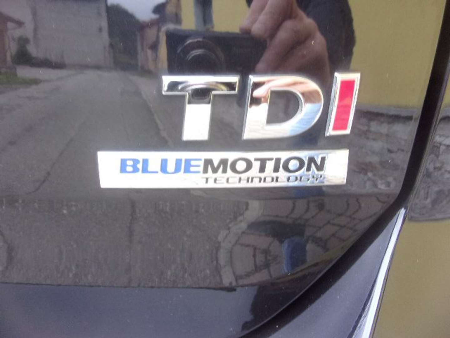 Autocerfoglia