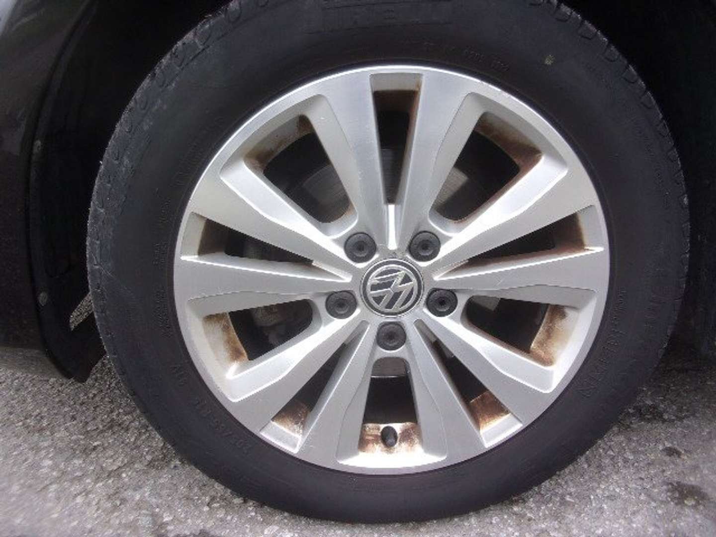 Autocerfoglia