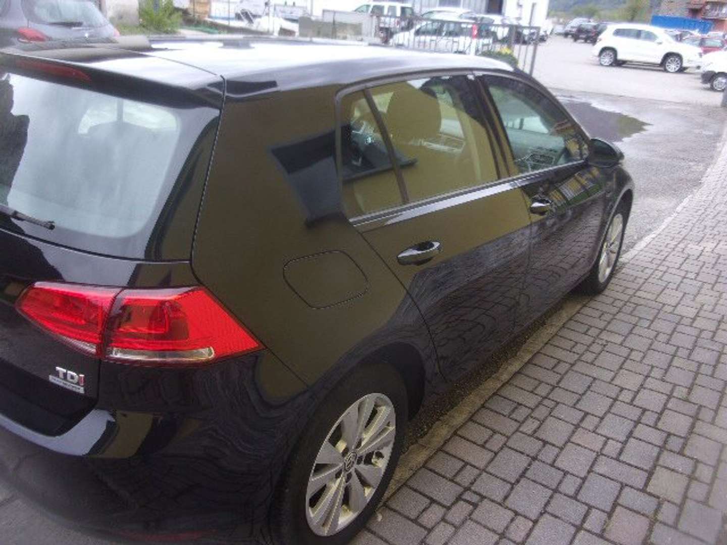 Autocerfoglia